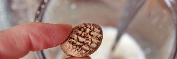 запеканка с сыром