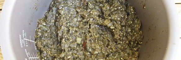 икра из баклажанов на зиму