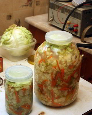 Капуста на зиму