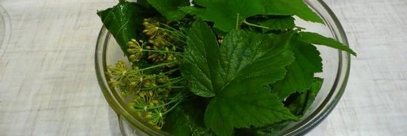 кисло-сладкие огурцы в банках без уксуса