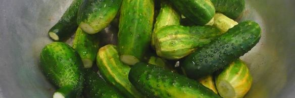 кисло-сладкие огурцы в банках без уксуса