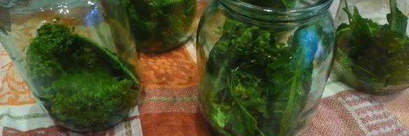 кисло-сладкие огурцы в банках без уксуса