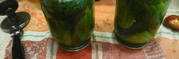 кисло-сладкие огурцы в банках без уксуса