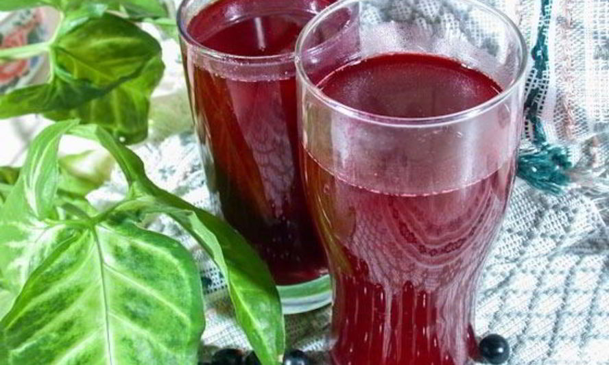 Рецепт компота из черемухи