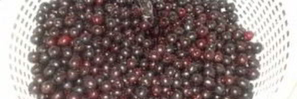 компот из черемухи