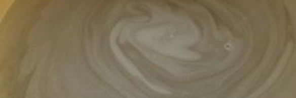 компот из черемухи