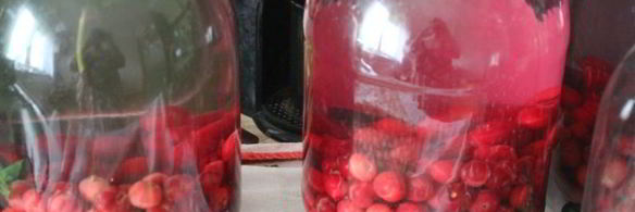 вишневый компот на зиму