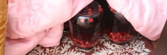 вишневый компот на зиму