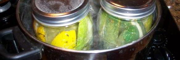 консервированные огурцы с уксусом на зиму