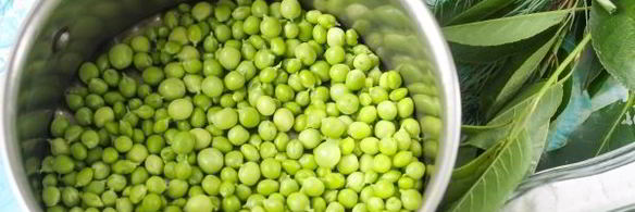 консервированные огурцы с зеленым горошком на зиму