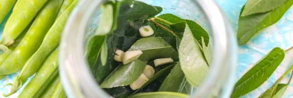 консервированные огурцы с зеленым горошком на зиму