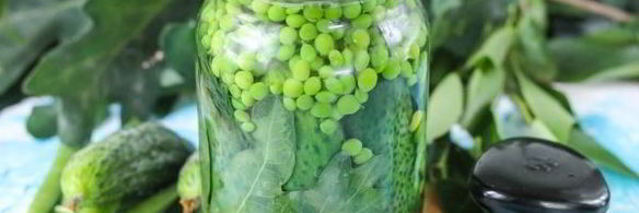 консервированные огурцы с зеленым горошком на зиму