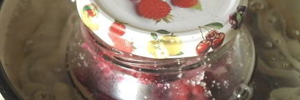 малина в собственном соку на зиму