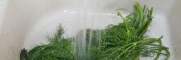 быстрые маринованные огурцы