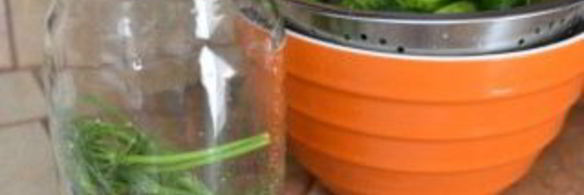 быстрые маринованные огурцы