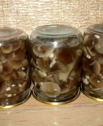 Маринованные опята