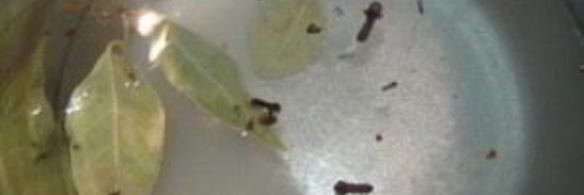 грибочки маринованные рождественские