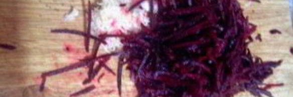 капуста маринованная с бураком