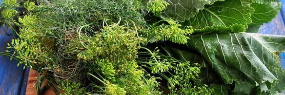 хрустящие маринованные огурцы с болгарским перцем на зиму