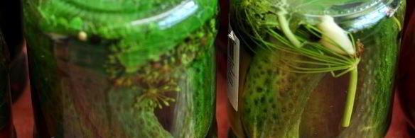 хрустящие маринованные огурцы с болгарским перцем на зиму