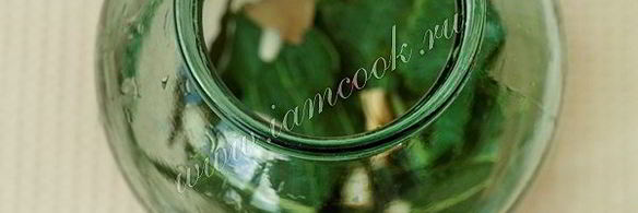 классические маринованные огурцы на зиму