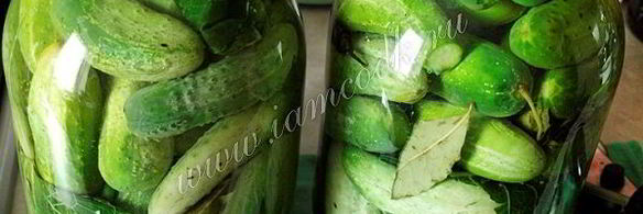 классические маринованные огурцы на зиму