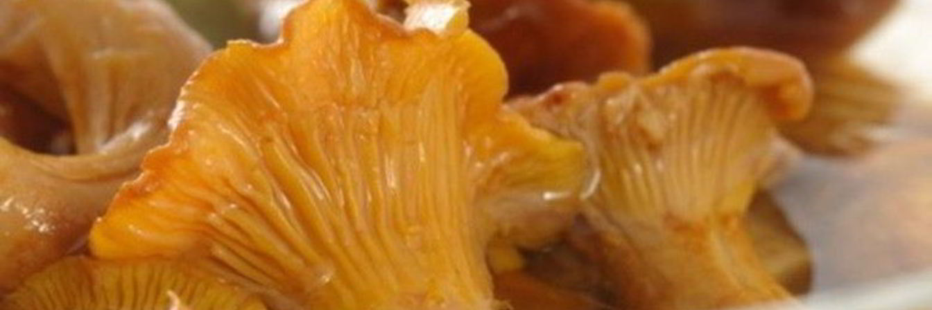 Лисички маринованные