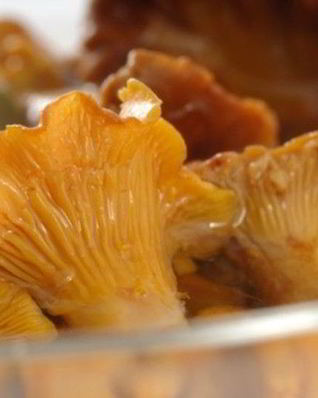 Лисички маринованные