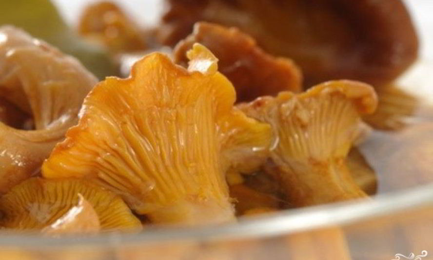 Рецепт лисичек маринованных