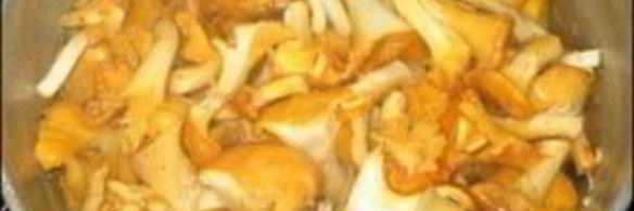 лисички маринованные