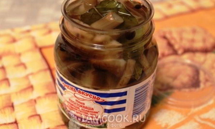 Рецепт маринования опят без стерилизации на зиму