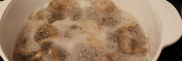 маринование опят без стерилизации на зиму