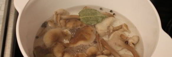 маринование опят без стерилизации на зиму