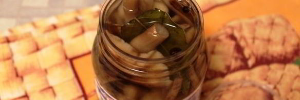 маринование опят без стерилизации на зиму