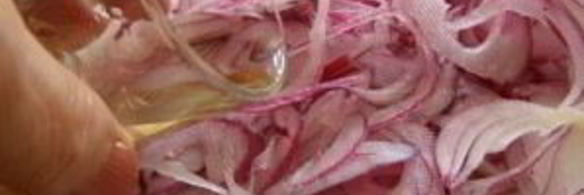 маринованный лук на зиму без стерилизации