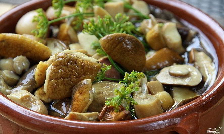 Рецепт маринованных белых грибов без стерилизации