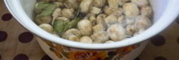 маринованные грибы на зиму