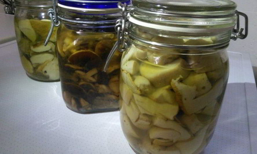 Рецепт маринованных грибов