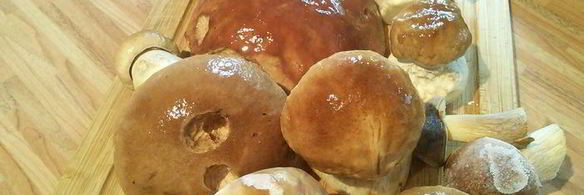 маринованные грибы