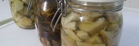 маринованные грибы