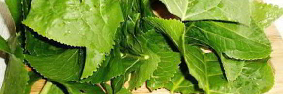 маринованные кабачки на зиму