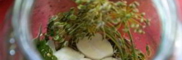 маринованные корнишоны в банках