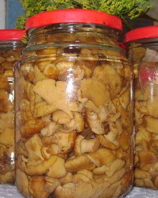 Маринованные лисички с луком