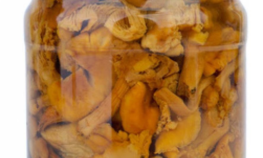 Рецепт маринованных лисичек