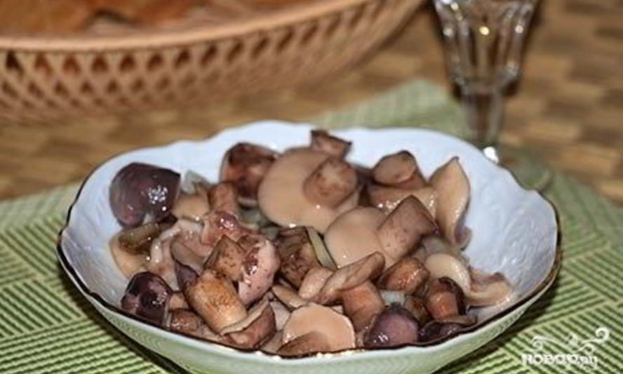 Рецепт маринованных маслят на зиму