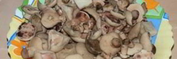 маринованные маслята на зиму