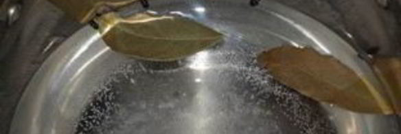 маринованные маслята на зиму