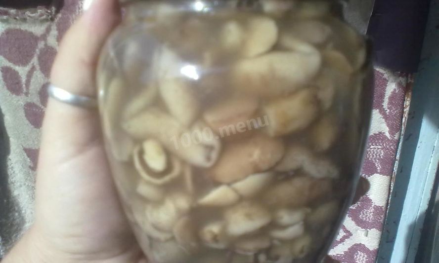 Рецепт маринованных маслят в банках