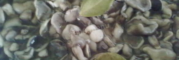 маринованные маслята в банках