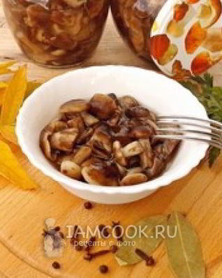Маринованные опята на зиму